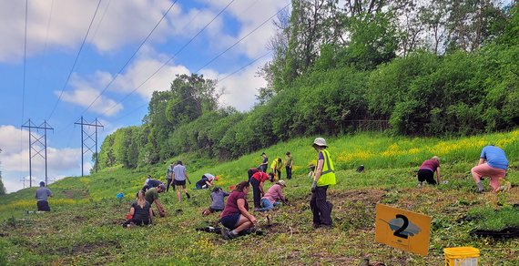 Group of volunteers on sloping hill planting with two supervisors in fluorescent yellow vests, below overhead power lines with trees in background.