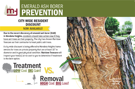 Postcard front ash tree with damaged bark and emerald ash borer bug, text "EAB prevention city-wide resident discount now available" 