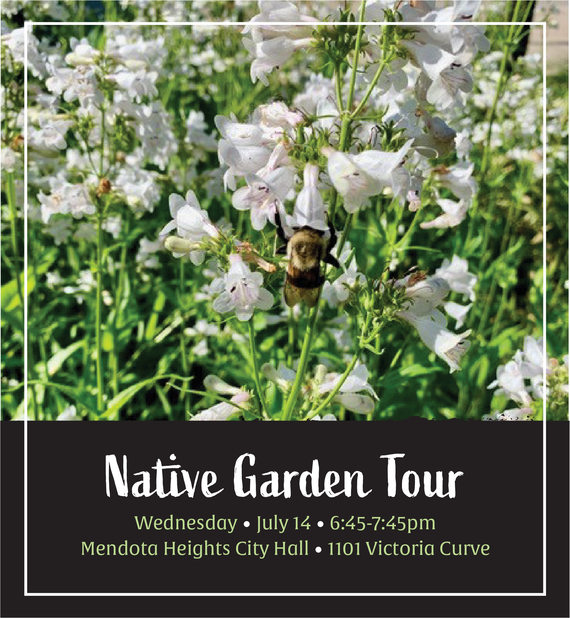Bumble bee with head in a white, tube-like flower amidst other blooms. Text "Native Garden Tour, July 14, 6:45-7:45pm, MH City Hall"