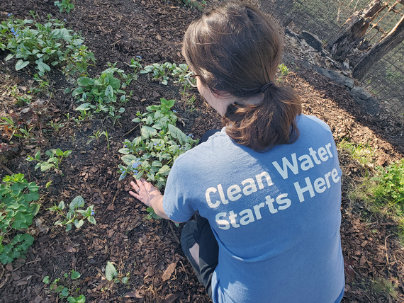 Woman kneeling in soil planting; the back of her t-shirt says "Clean water starts here"