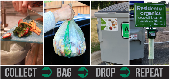 "Collect" food scraps being scraped into container, "Bag" hand holding baggie of scraps, "Drop" outdoor dumpster at park, "Repeat" bag dispenser 