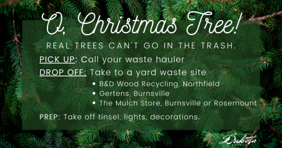 Pine needles in background, text "O Christmas Tree! Real trees can't go in the trash" go to link for details.