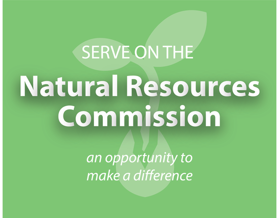 Text "serve on the Natural Resources Commission an opportunity to make a difference" sprout icon shooting out of seed on green background