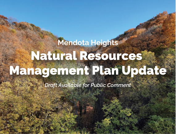 Dense population of trees, text "Mendota Heights Natural Resources Management Plan Update, draft available for public comment"