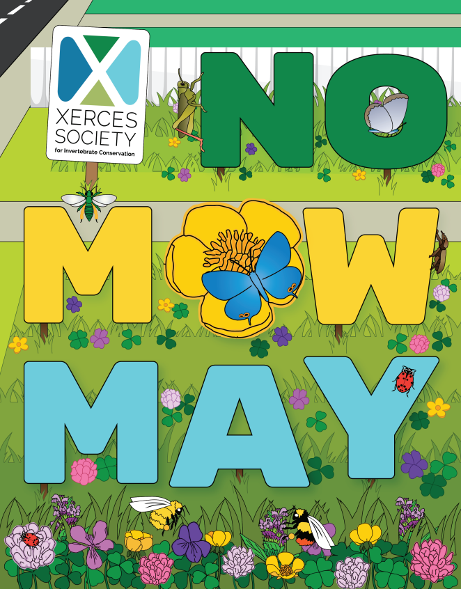 Illustration of colorful pollinator flowers and bees, ladybugs, and other insects, text "No Mow May", Xerces Society logo