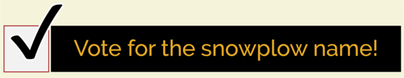 Check box with checkmark, text "Vote for the snowplow name!"