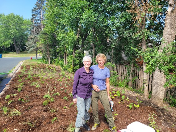 Native Plantings