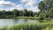 stormwater pond