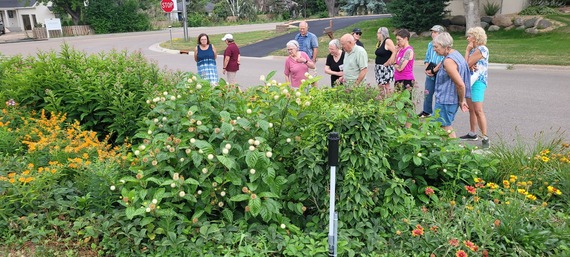 Raingarden Event