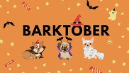 Barktober