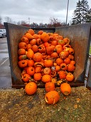 Pumpkins