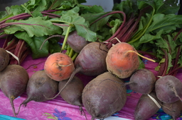 beets