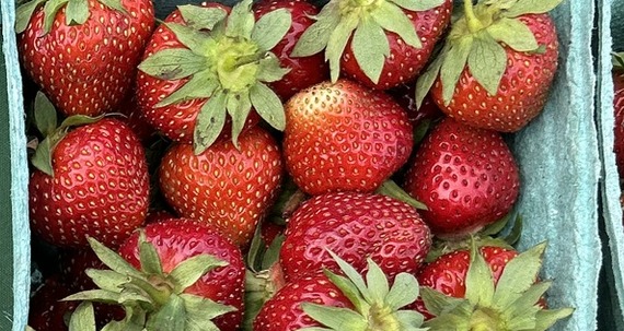 Rhubarb and strawberries on a farmers market table