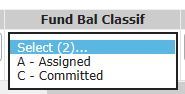 AMA Fund Balance Type Selection
