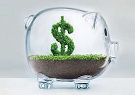 topiary glass pig with a dollar sign growing