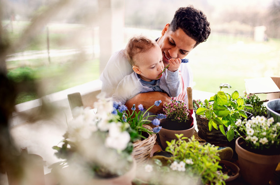 A family enjoying houseplants
