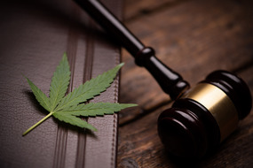 gavel with cannabis leaf