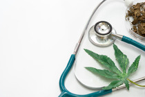 cannabis leaf with stethoscope and dried cannabis flower