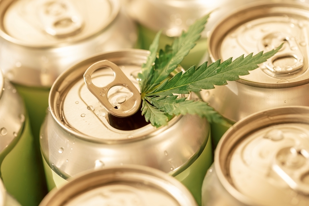 hemp leaf sticking out of canned beverage