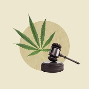 cannabis leaf with gavel