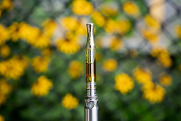 Vape Pen with yellow flowers blurred in backdrop