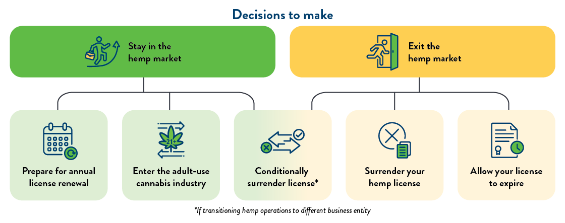 Decisions to make: Stay in the hemp market or exit?