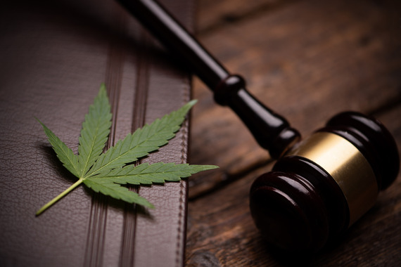 gavel and cannabis leaf on book