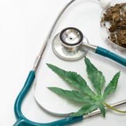 cannabis leaf with stethoscope and dried cannabis flower