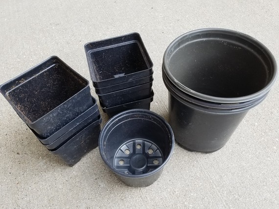 Black Plastic Planter Pots
