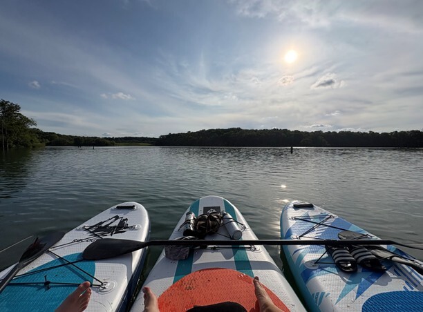 Picture of three paddle boards