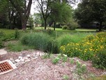 Swale and raingarden in Shoreview. (Photo courtesy City of Shoreview)