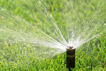 Sprinkler for water efficiency story