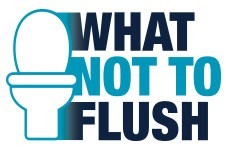 What Not to Flush