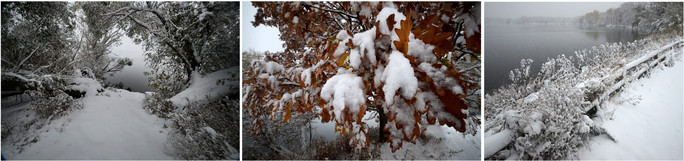 New snow fell like a blanket over Lake Phalen Regional Park on Oct. 20.