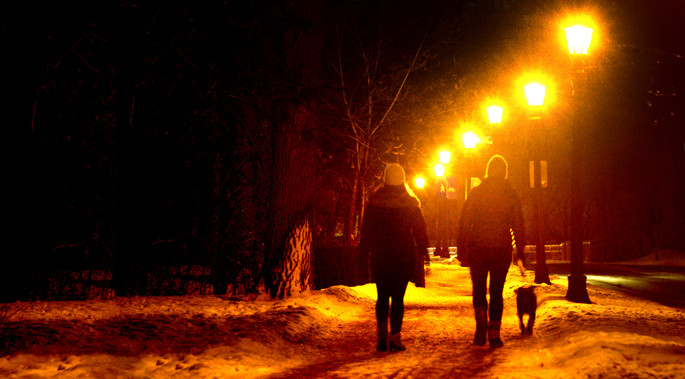 Twilight walk with the dog