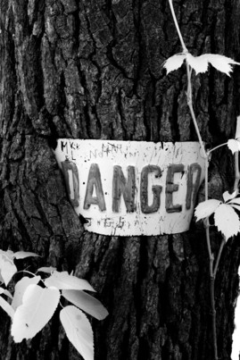 Photo by Natalie McGuire for nat'l contest