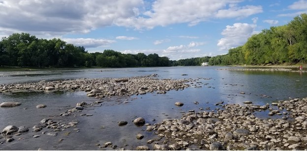 The Mississippi River near Fridley was 3 feet lower than normal. People walked across the river. 