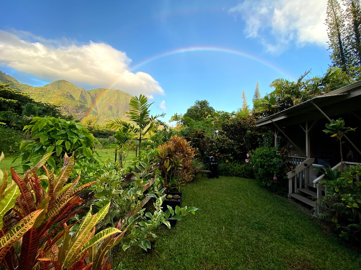 Hawaii rainbow