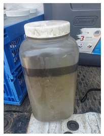 Sample collected from the sanitary sewer on August 2 with at least one inch of floating oily material 