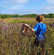 Boy collects prairie wildflower seeds