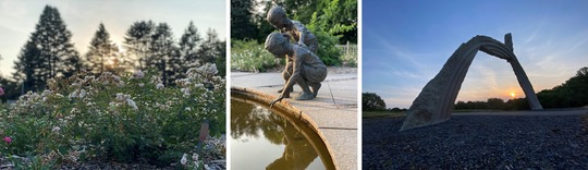 Arboretum photo collage