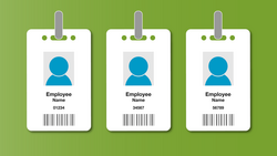 Illustration showing three employee badges together on a green background