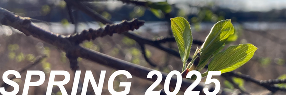 Spring 2025 Header