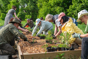 Volunteers planting a raised-bed garden.