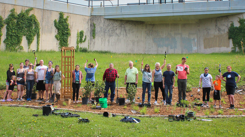 Volunteers at a raingarden planting raise their arms in celebration.