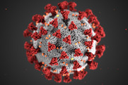 A computer rendering of the COVID-19 virus.
