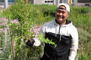 Young person removes invasive tree from a raingarden.