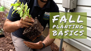 Fall Planting Video Thumbnail