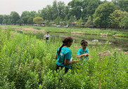 Mississippi River Green Team members in the field.