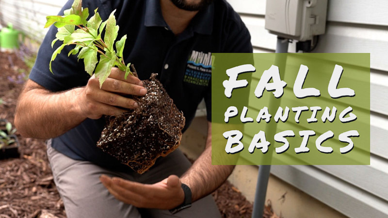 Fall Planting Basics YouTube video thumbnail image.